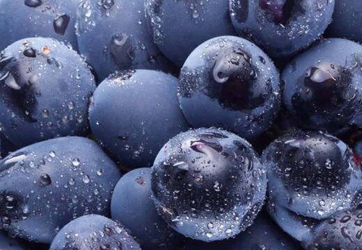 Druckorganisation & Betreuung Werbung Grafik Design Silke Krause Görlitz