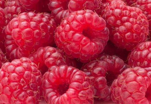 Social Media Werbung Grafik Design Silke Krause Görlitz