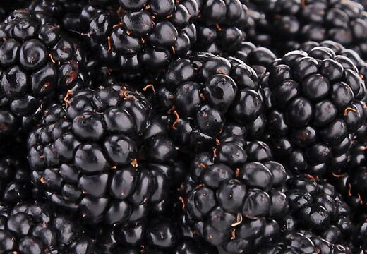 Visitenkarten Werbung Grafik Design Silke Krause Görlitz