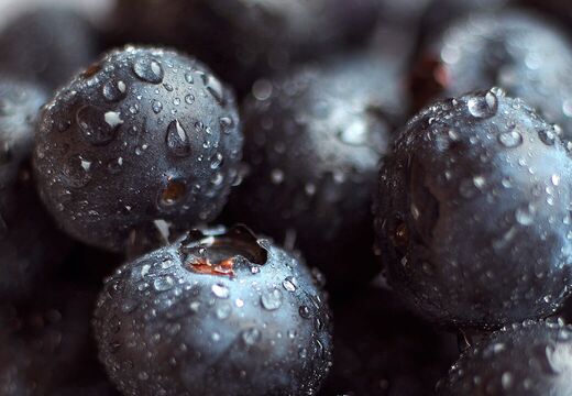 Webdesign Werbung Grafik Design Silke Krause Görlitz