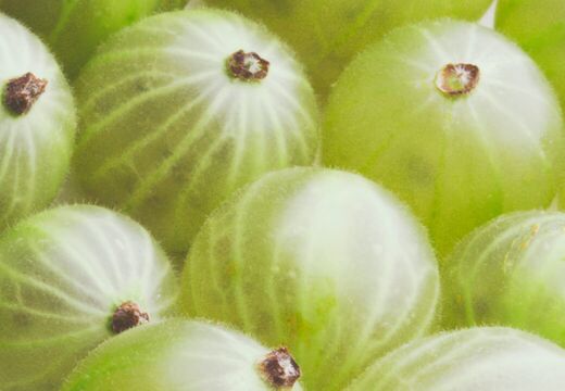 Werbe-Konzept-Erstellung Werbung Grafik Design Silke Krause Görlitz