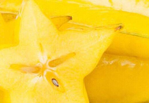 Flyer und Werbeprospekte Werbung Grafik Design Silke Krause Görlitz