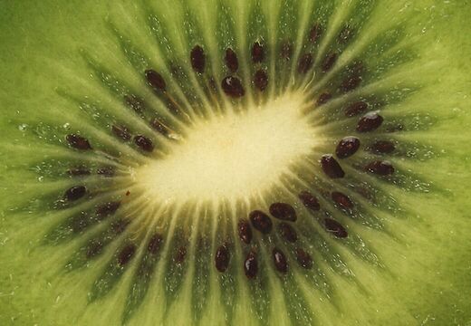 Logoerstellung & Logobearbeitung Werbung Grafik Design Silke Krause Görlitz