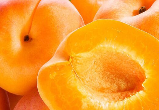 Gutscheine Werbung Grafik Design Silke Krause Görlitz