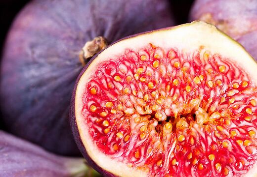 Magazine Prospekte Broschüren Werbung Grafik Design Silke Krause Görlitz