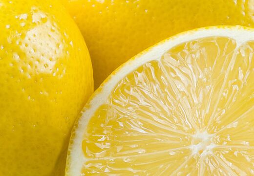 Corporate Design Werbung Grafik Design Silke Krause Görlitz