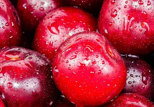 Webdesign Werbung Grafik Design Silke Krause Görlitz